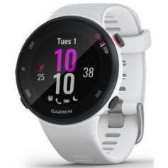 Smartwatch Garmin Forerunner 45s