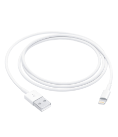 Apple Lightning to USB Cable (1M)