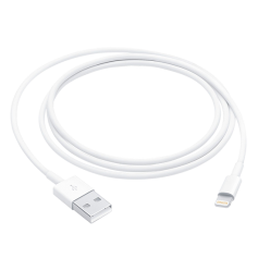 Apple Lightning to USB Cable (1M)